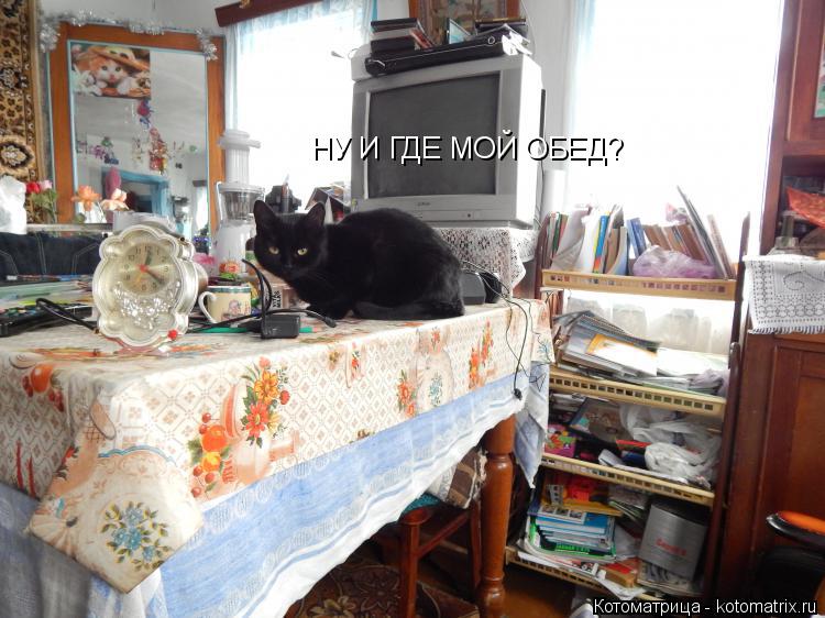 НУ И ГДЕ МОЙ ОБЕД?... Котоматрица: НУ И ГДЕ МОЙ ОБЕД?