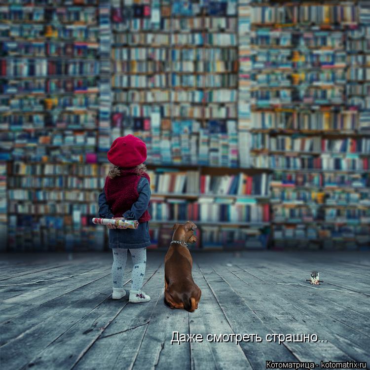 Даже смотреть страшною... Даже смотреть страшно...... Котоматрица: Даже смотреть страшною... Даже смотреть страшно...
