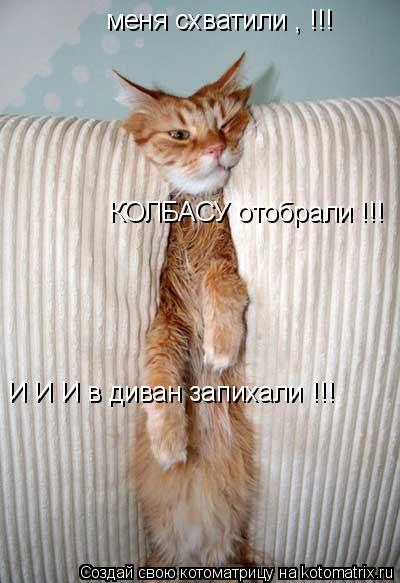 меня схватили , !!! КОЛБАСУ отобрали !!! И И И в диван запихали !!!... Котоматрица: меня схватили , !!! КОЛБАСУ отобрали !!! И И И в диван запихали !!!