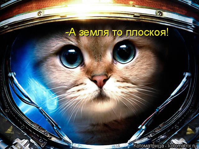 -А земля то плоскоя!... Котоматрица: -А земля то плоскоя!