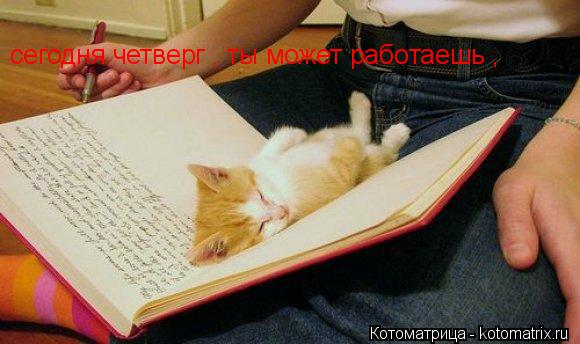 сегодня четверг , ты может работаешь ,... Котоматрица: сегодня четверг , ты может работаешь ,