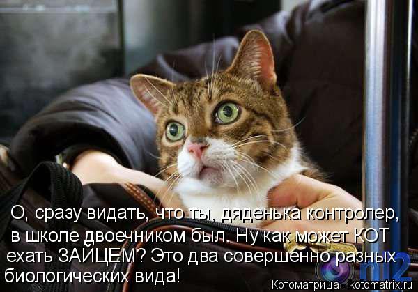 О, сразу видать, что ты, дяденька контролер, в школе двоечником был. Ну как может КОТ ехать ЗАЙЦЕМ? Э... Котоматрица: О, сразу видать, что ты, дяденька контролер, в школе двоечником был. Ну как может КОТ ехать ЗАЙЦЕМ? Это два совершенно разных биологических в