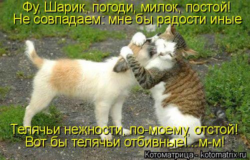Котоматрица: Телячьи нежности, по-моему, отстой! Не совпадаем: мне бы радости иные Вот бы телячьи отбивные!...м-м! Фу, Шарик, погоди, милок, постой!