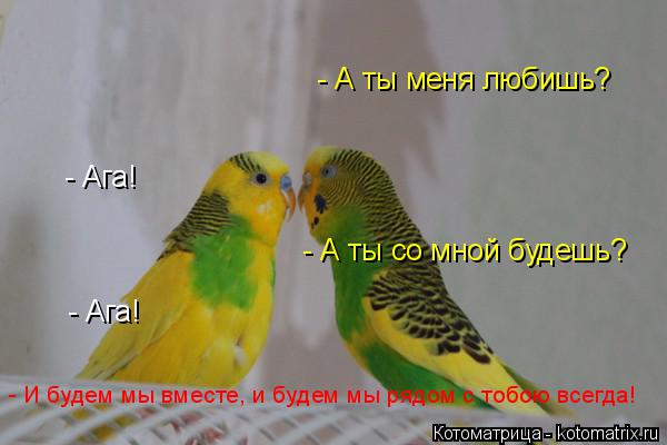 - А ты меня любишь? - Ага! - А ты со мной будешь? - Ага! - И будем мы вместе, и будем мы рядом с тобо... Котоматрица: - А ты меня любишь? - Ага! - А ты со мной будешь? - Ага! - И будем мы вместе, и будем мы рядом с тобою всегда!