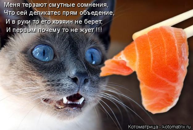 Меня терзают смутные сомнения, Что сей деликатес прям объедение, И в руки то его хозяин не берет, И п... Котоматрица: Меня терзают смутные сомнения, Что сей деликатес прям объедение, И в руки то его хозяин не берет, И первым почему то не жует !!!
