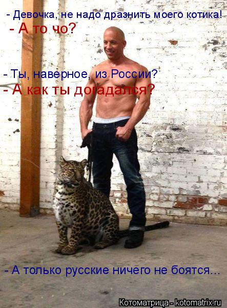 - А то чо? - Ты, наверное, из России? - А как ты догадался? - Девочка, не надо дразнить моего котика!... Котоматрица: - А то чо? - Ты, наверное, из России? - А как ты догадался? - Девочка, не надо дразнить моего котика! - А только русские ничего не боятся...