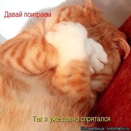 Давай поиграем Так я уже давно спрятался... Котоматрица: Давай поиграем Так я уже давно спрятался