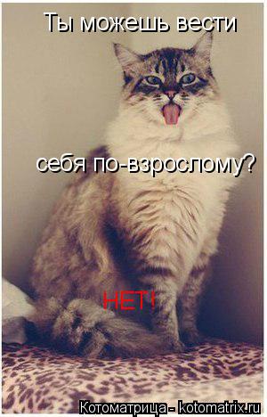 Ты можешь вести Ты можешь вести НЕТ! себя по-взрослому?... Котоматрица: Ты можешь вести Ты можешь вести НЕТ! себя по-взрослому?