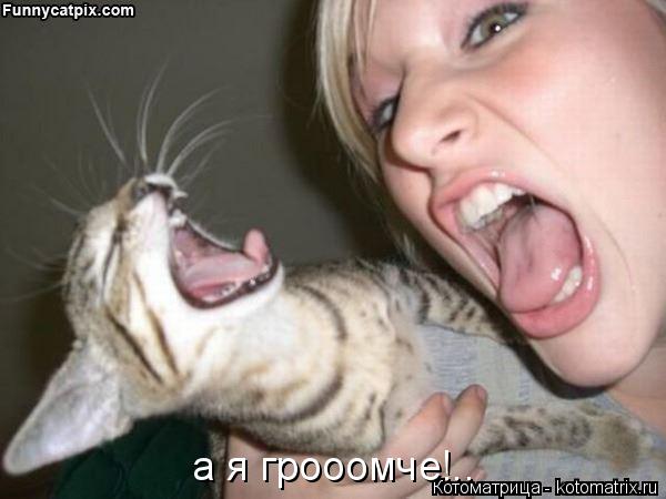 а я грооомче!..... Котоматрица: а я грооомче!..