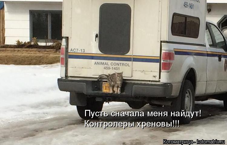 Пусть сначала меня найдут! Контролеры хреновы!!!... Котоматрица: Пусть сначала меня найдут! Контролеры хреновы!!!