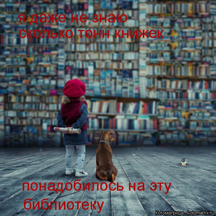 я даже не знаю сколько тонн книжек понадобилось на эту библиотеку... Котоматрица: я даже не знаю сколько тонн книжек понадобилось на эту библиотеку