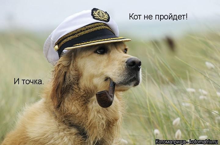 Кот не пройдет! И точка.... Котоматрица: Кот не пройдет! И точка.