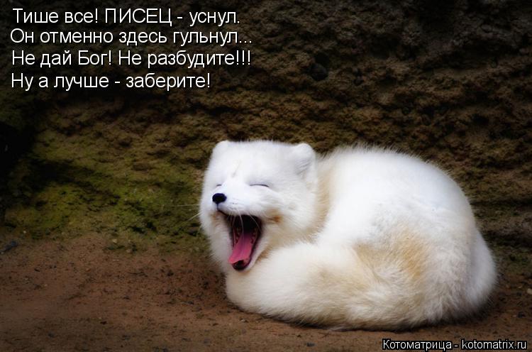 Тише все! ПИСЕЦ - уснул. Он отменно здесь гульнул... Не дай Бог! Не разбудите!!! Ну а лучше - заберит... Котоматрица: Тише все! ПИСЕЦ - уснул. Он отменно здесь гульнул... Не дай Бог! Не разбудите!!! Ну а лучше - заберите!