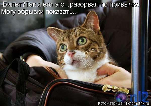 -Билет?Так я его это...разорвал по привычке. Могу обрывки показать...... Котоматрица: -Билет?Так я его это...разорвал по привычке. Могу обрывки показать...