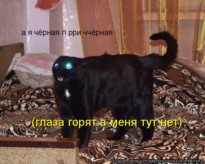 а я чёрная п рри ччёрная (глаза горят а меня тут нет)... Котоматрица: а я чёрная п рри ччёрная (глаза горят а меня тут нет)