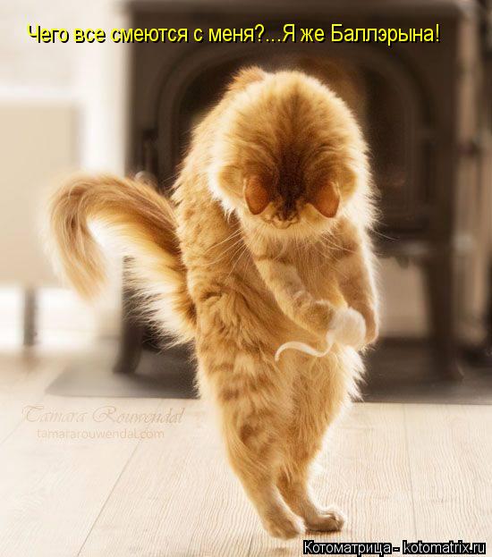 Чего все смеются с меня?...Я же Баллэрына!... Котоматрица: Чего все смеются с меня?...Я же Баллэрына!
