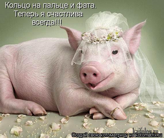 Кольцо на пальце и фата. Теперь я счастлива всегда!!!... Котоматрица: Кольцо на пальце и фата. Теперь я счастлива всегда!!!