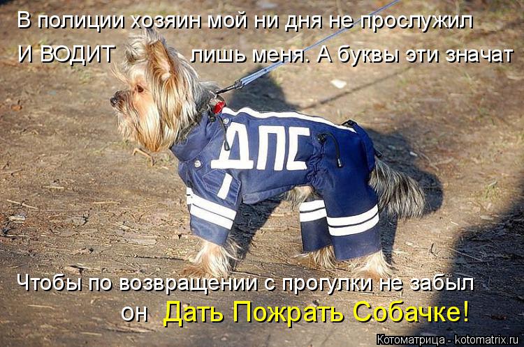 В полиции хозяин мой ни дня не прослужил И ВОДИТ лишь меня. А буквы эти значат Чтобы по во... Котоматрица: В полиции хозяин мой ни дня не прослужил И ВОДИТ лишь меня. А буквы эти значат Чтобы по возвращении с прогулки не забыл он Дать Пожрат