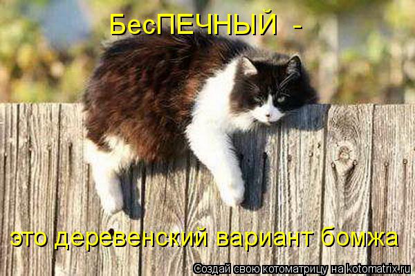 БесПЕЧНЫЙ - это деревенский вариант бомжа... Котоматрица: БесПЕЧНЫЙ - это деревенский вариант бомжа