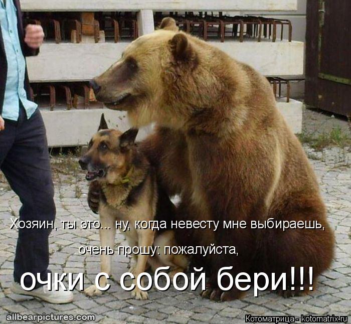 очень прошу: пожалуйста, очки с собой бери!!! Хозяин, ты это... ну, когда невесту мне выбираешь,... Котоматрица: очень прошу: пожалуйста, очки с собой бери!!! Хозяин, ты это... ну, когда невесту мне выбираешь,
