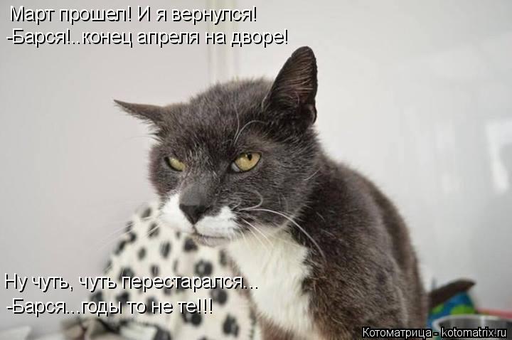 Март прошел! И я вернулся! -Барся!..конец апреля на дворе! Ну чуть, чуть перестарался... -Барся...год... Котоматрица: Март прошел! И я вернулся! -Барся!..конец апреля на дворе! Ну чуть, чуть перестарался... -Барся...годы то не те!!!