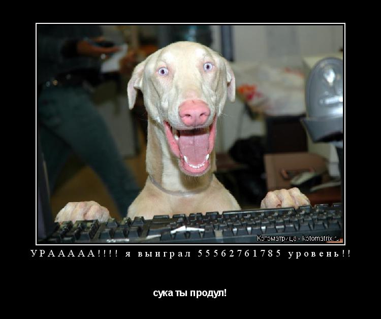 УРААААА!!!! я выиграл 55562761785 уровень!! сука ты продул!... Котоматрица: УРААААА!!!! я выиграл 55562761785 уровень!! сука ты продул!