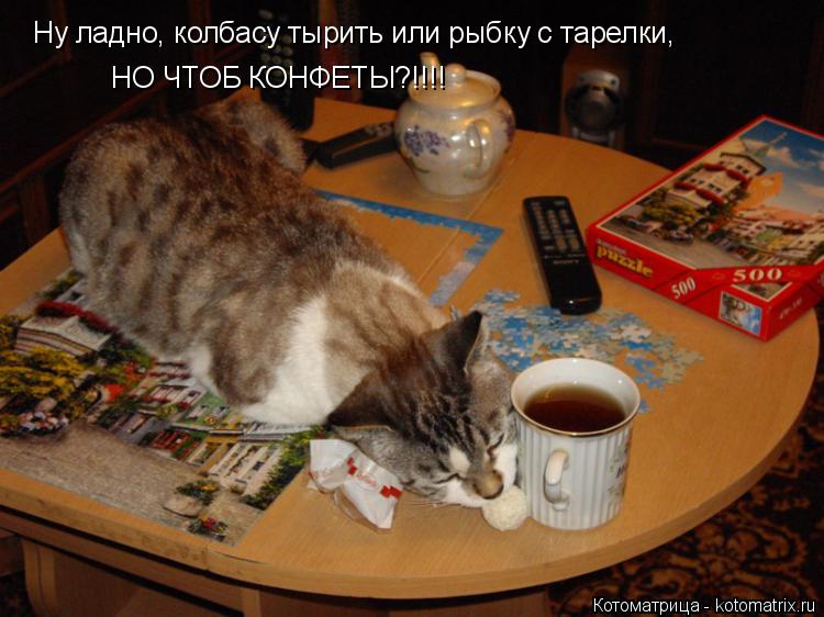 Ну ладно, колбасу тырить или рыбку с тарелки, НО ЧТОБ КОНФЕТЫ?!!!!... Котоматрица: Ну ладно, колбасу тырить или рыбку с тарелки, НО ЧТОБ КОНФЕТЫ?!!!!