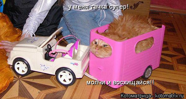 Котоматрица: у меня тачка супер! молчи и восхищайся!!