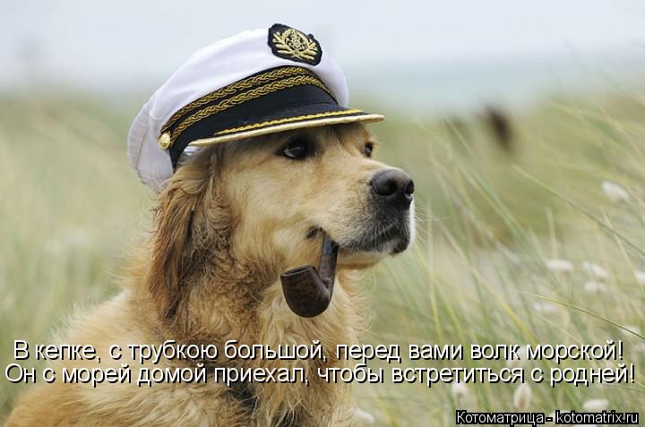 В кепке, с трубкою большой, перед вами волк морской! Он с морей домой приехал, чтобы встретиться с ро... Котоматрица: В кепке, с трубкою большой, перед вами волк морской! Он с морей домой приехал, чтобы встретиться с родней!