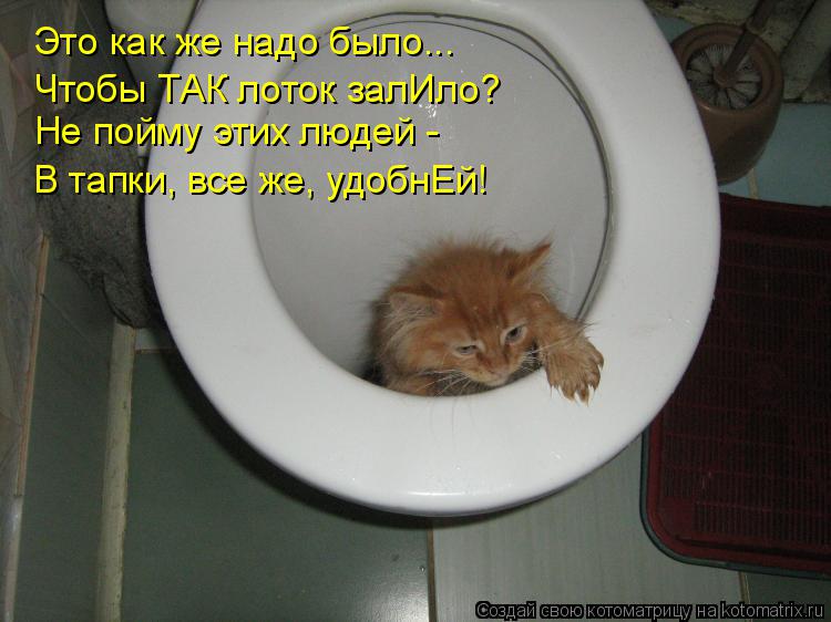 Это как же надо было... Чтобы ТАК лоток залИло? Не пойму этих людей - В тапки, все же, удобнЕй!... Котоматрица: Это как же надо было... Чтобы ТАК лоток залИло? Не пойму этих людей - В тапки, все же, удобнЕй!