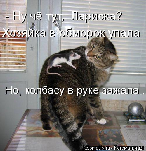 Котоматрица: - Ну чё тут,  Лариска? Хозяйка в обморок упала Но, колбасу в руке зажала...