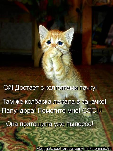 Ой! Достает с колготками пачку! Там же колбаска лежала в заначке! Палундрра! Помогите мне! СОС!!! Она... Котоматрица: Ой! Достает с колготками пачку! Там же колбаска лежала в заначке! Палундрра! Помогите мне! СОС!!! Она притащила уже пылесос!