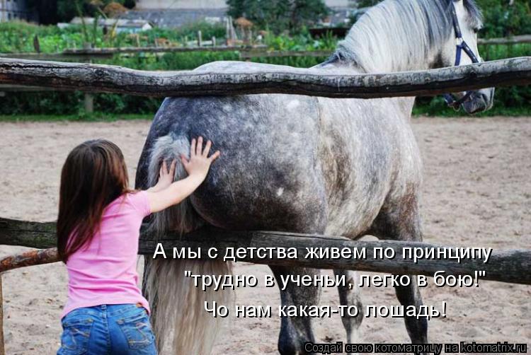 А мы с детства живем по принципу "трудно в ученьи, легко в бою!" Чо нам какая-то лошадь!... Котоматрица: А мы с детства живем по принципу "трудно в ученьи, легко в бою!" Чо нам какая-то лошадь!