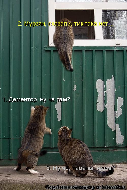 1. Дементор, ну че там? 2. Мурзян, сказали, тик така нет... 3. Ну че, пацаны, идем?... Котоматрица: 1. Дементор, ну че там? 2. Мурзян, сказали, тик така нет... 3. Ну че, пацаны, идем?