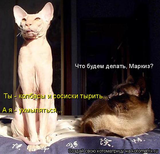 Что будем делать, Маркиз? Ты - колбасы и сосиски тырить... А я - ухмыляться...... Котоматрица: Что будем делать, Маркиз? Ты - колбасы и сосиски тырить... А я - ухмыляться...