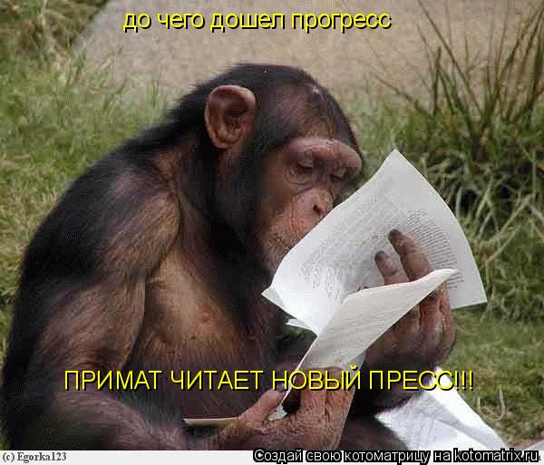 до чего дошел прогресс ПРИМАТ ЧИТАЕТ НОВЫЙ ПРЕСС!!!... Котоматрица: до чего дошел прогресс ПРИМАТ ЧИТАЕТ НОВЫЙ ПРЕСС!!!