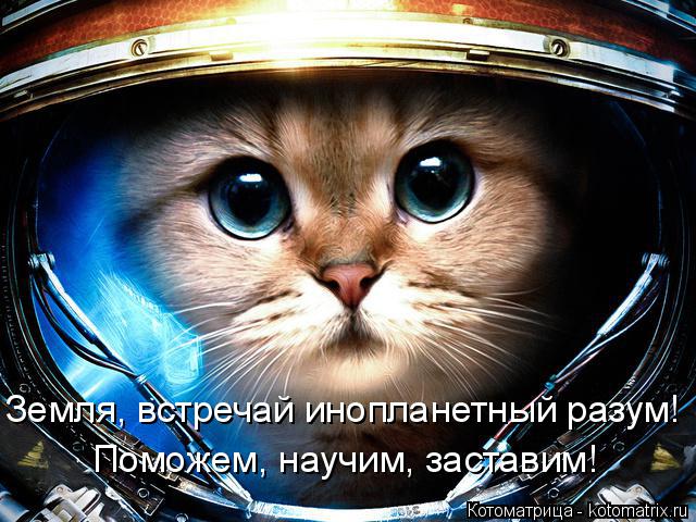 Земля, встречай инопланетный разум! Поможем, научим, заставим!... Котоматрица: Земля, встречай инопланетный разум! Поможем, научим, заставим!