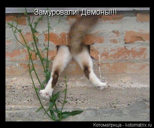 Котоматрица: Замуровали! Демоны!!!