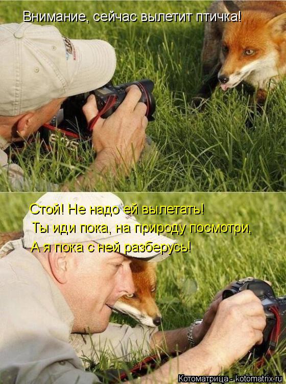 Внимание, сейчас вылетит птичка! Стой! Не надо ей вылетать! Ты иди пока, на природу посмотри, А я пок... Котоматрица: Внимание, сейчас вылетит птичка! Стой! Не надо ей вылетать! Ты иди пока, на природу посмотри, А я пока с ней разберусь!