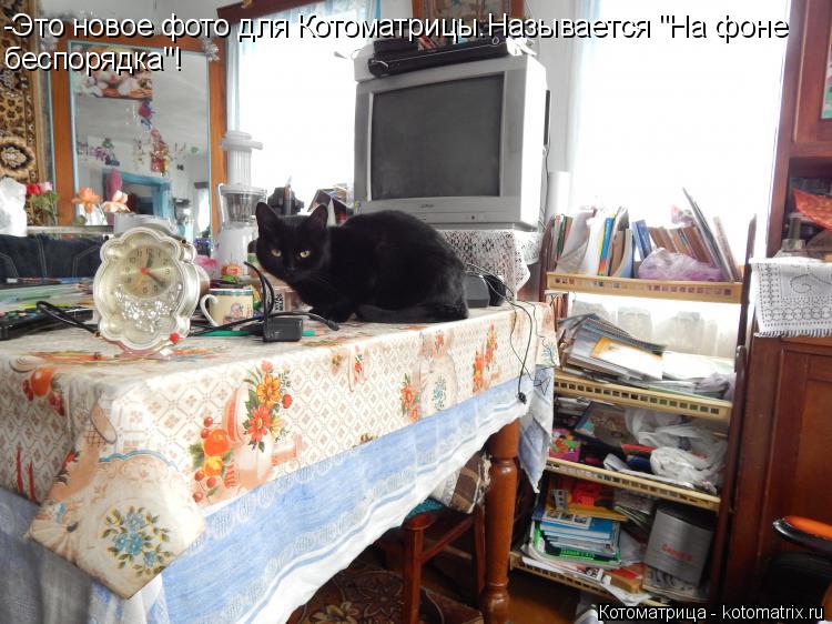 -Это новое фото для Котоматрицы.Называется "На фоне беспорядка"!... Котоматрица: -Это новое фото для Котоматрицы.Называется "На фоне беспорядка"!