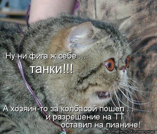 Ну ни фига ж себе ... танки!!! А хозяин-то за колбасой пошел ... оставил на пианине! и разрешение на ... Котоматрица: Ну ни фига ж себе ... танки!!! А хозяин-то за колбасой пошел ... оставил на пианине! и разрешение на ТТ