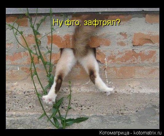 Ну фто, зафтрял?... Котоматрица: Ну фто, зафтрял?