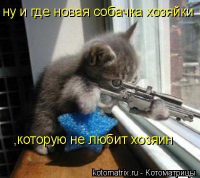 ну и где новая собачка хозяйки ,которую не любит хозяин... Котоматрица: ну и где новая собачка хозяйки ,которую не любит хозяин