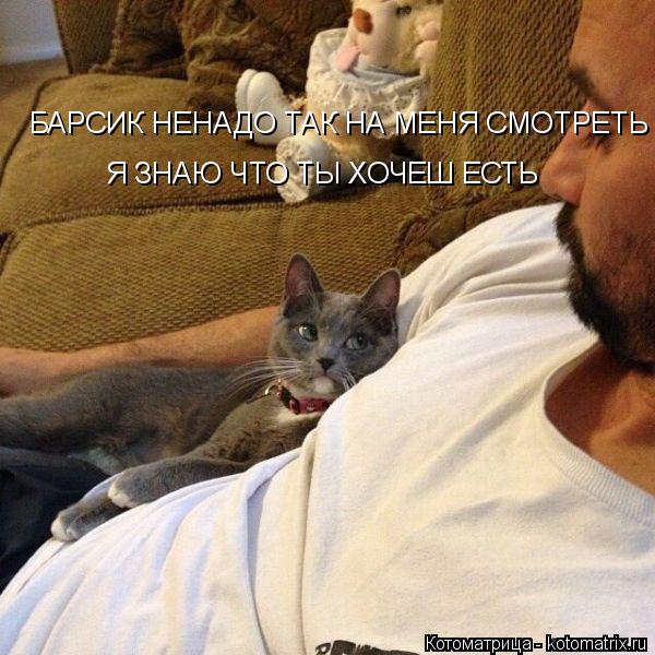 Котоматрица: БАРСИК НЕНАДО ТАК НА МЕНЯ СМОТРЕТЬ  Я ЗНАЮ ЧТО ТЫ ХОЧЕШ ЕСТЬ