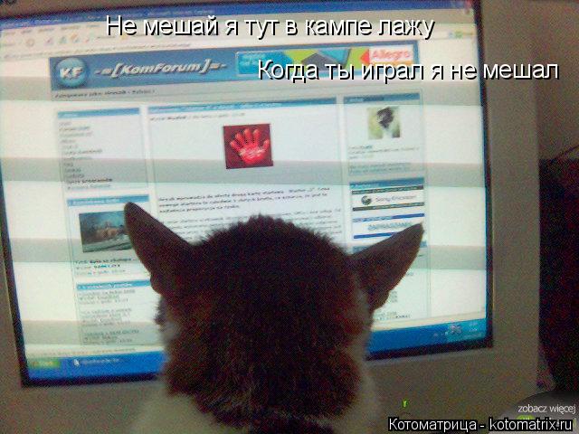 Не мешай я тут в кампе лажу Когда ты играл я не мешал... Котоматрица: Не мешай я тут в кампе лажу Когда ты играл я не мешал