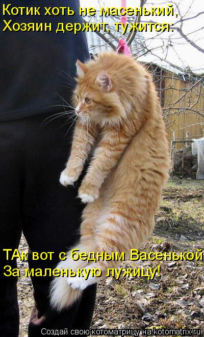 Котик хоть не масенький, Хозяин держит, тужится: ТАк вот с бедным Васенькой За маленькую лужицу!... Котоматрица: Котик хоть не масенький, Хозяин держит, тужится: ТАк вот с бедным Васенькой За маленькую лужицу!