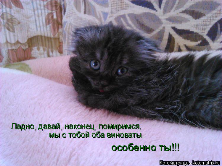 Котоматрица: Ладно, давай, наконец, помиримся,  мы с тобой оба виноваты.. особенно ты!!!