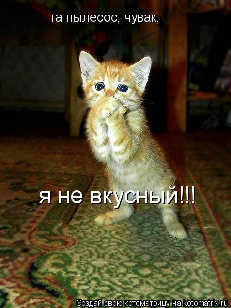 та пылесос, чувак, я не вкусный!!!... Котоматрица: та пылесос, чувак, я не вкусный!!!