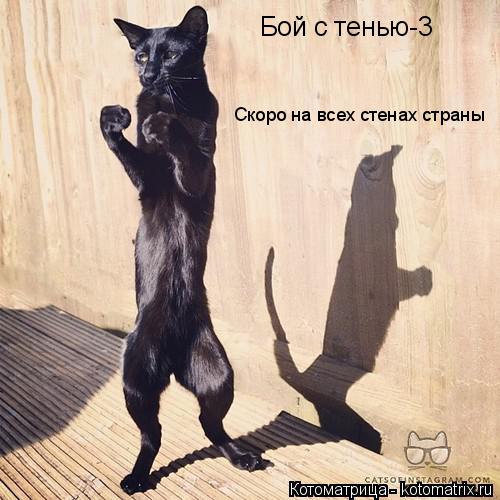 Котоматрица: Бой с тенью-3 Скоро на всех стенах страны