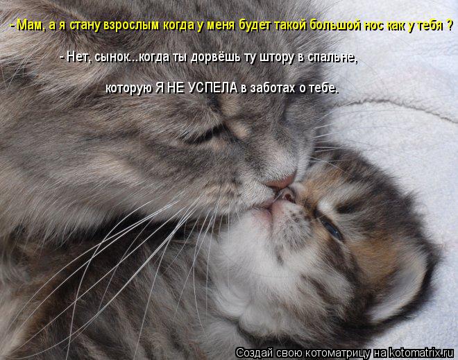 - Нет, сынок...когда ты дорвёшь ту штору в спальне, которую Я НЕ УСПЕЛА в заботах о тебе. - Мам, а я ... Котоматрица: - Нет, сынок...когда ты дорвёшь ту штору в спальне, которую Я НЕ УСПЕЛА в заботах о тебе. - Мам, а я стану взрослым когда у меня будет такой больш
